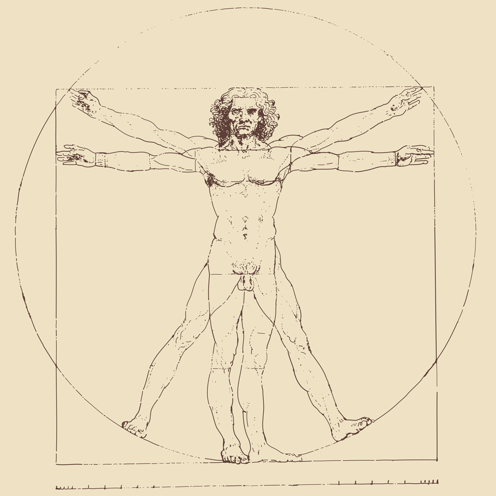 Adaptation de l’homme de Vitruve illustrant les proportions idéales du corps humain. 