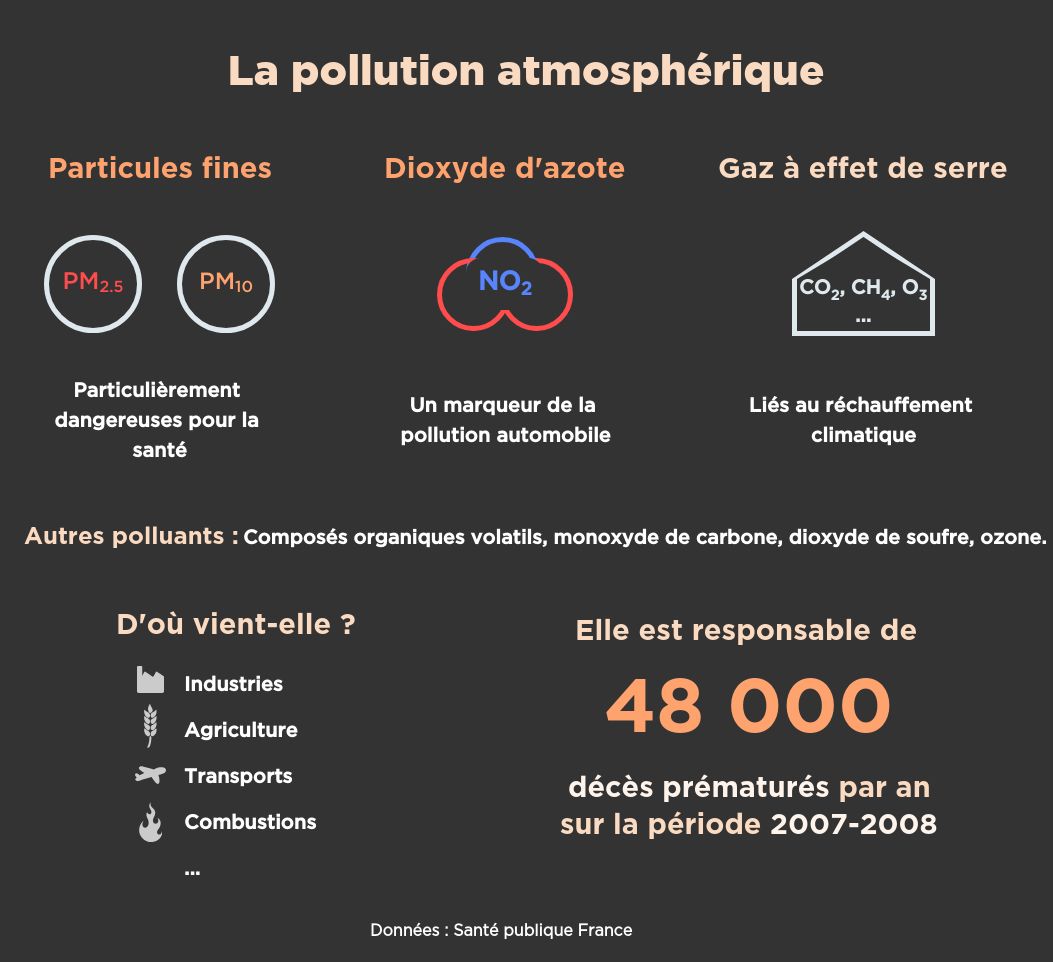 La pollution atmosphérique © Dialogues économiques