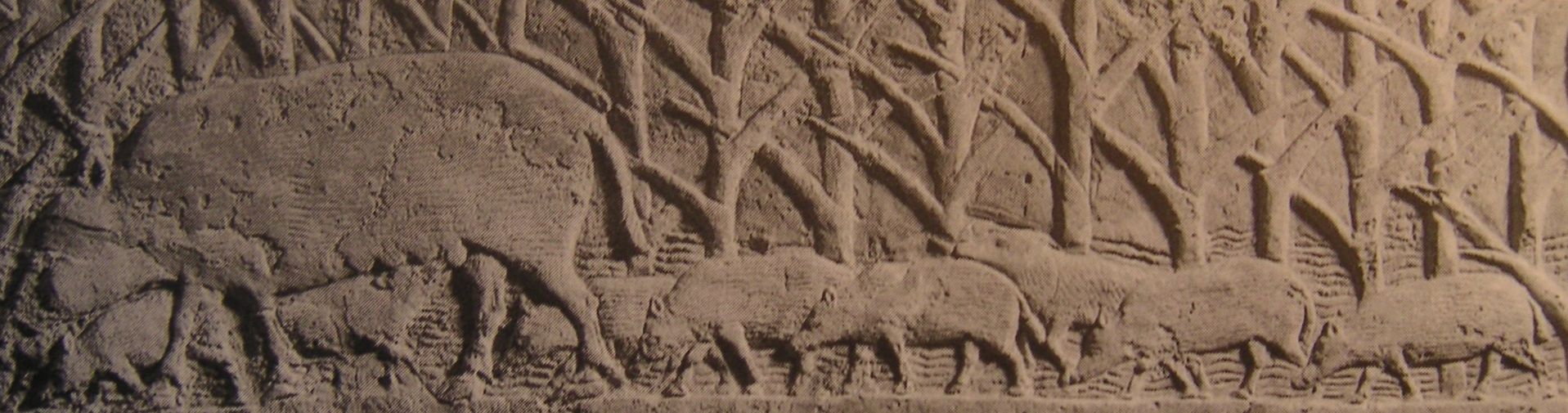 Laie dans les roseaux avec ses marcassins. Relief du palais de Ninive, VIIe s. av. J.-C.