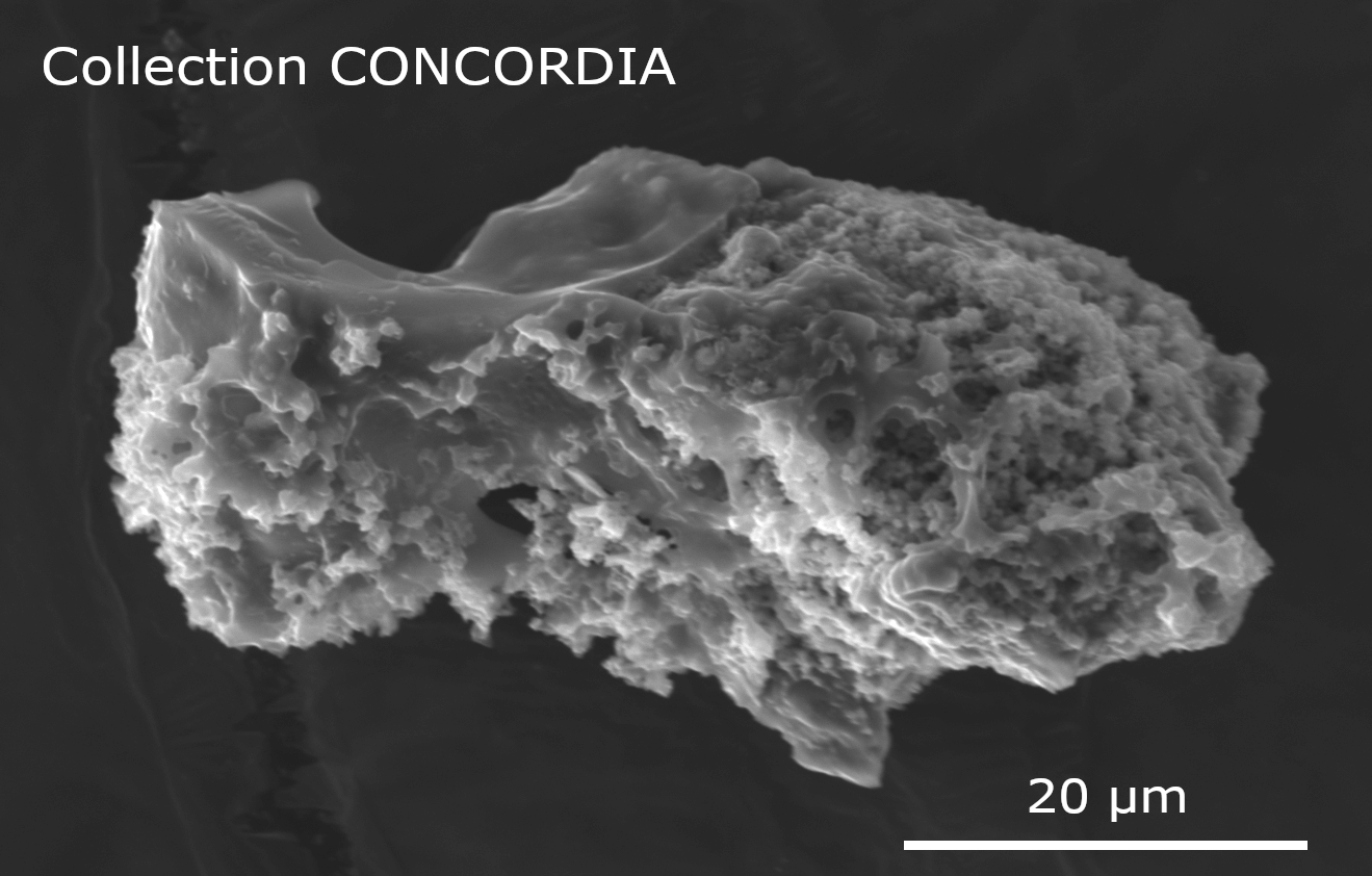 Le projet COMETOR a démarré peu avant 2010 avec la découverte d’une nouvelle famille de micrométéorites appelées les micrométéorites ultracarbonées (UCAMMs).  © C. Engrand/J. Duprat (IJClab/MNHN) 